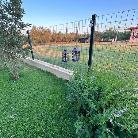 Holiday home Mihaila Ofrinion